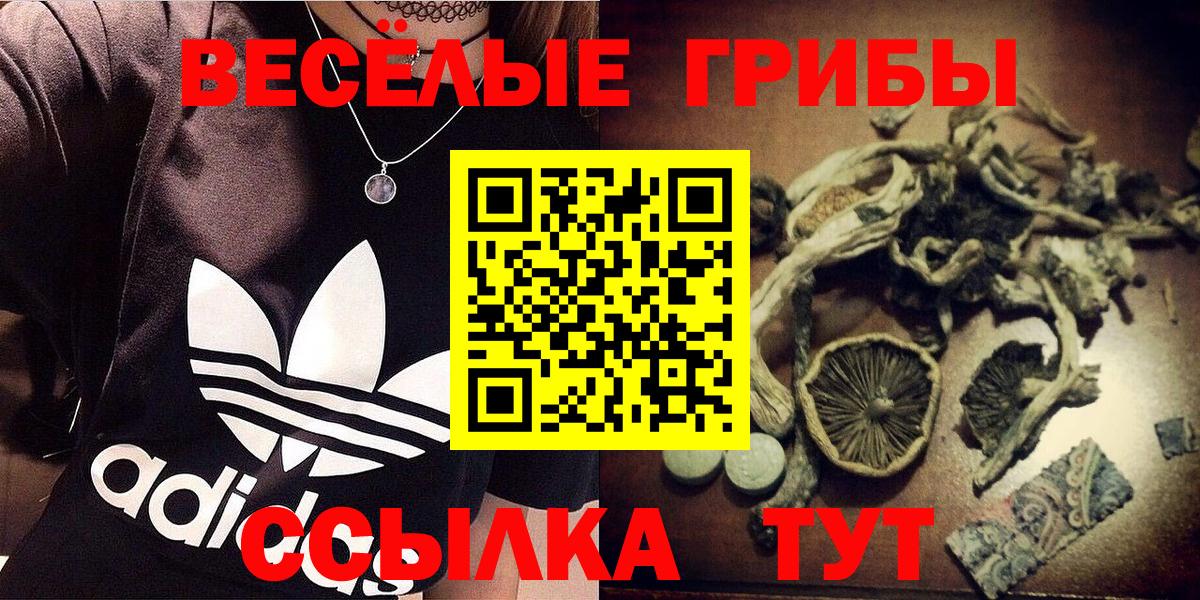Галлюциногенные грибы Magic Shrooms Татарск